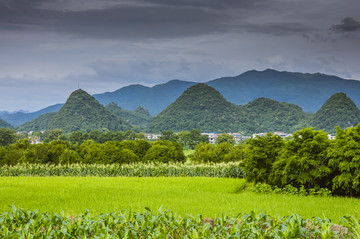 田园风光