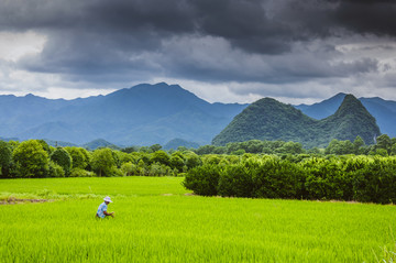 田园风光