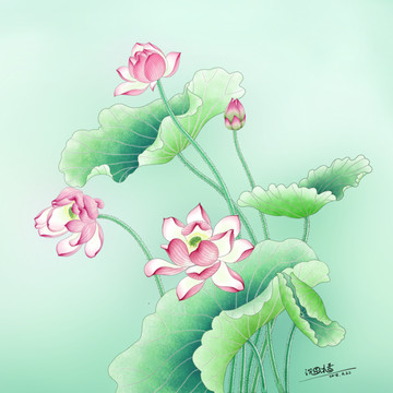 清蓮