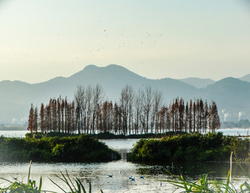 滇池湿地