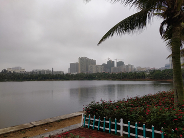 海滨公园风景 广东湛江