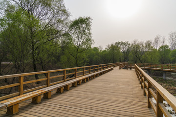 防腐木木桥步道