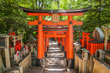 日本伏见稻荷神社的红色木制大门