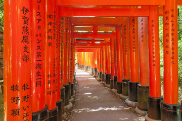 日本伏见稻荷神社的鸟居门
