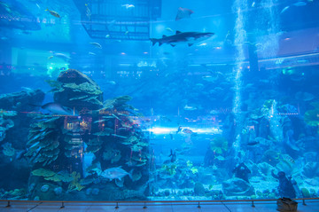 迪拜购物中心的水族馆