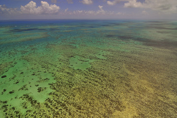 昆士兰澳大利亚的大堡礁鸟瞰图