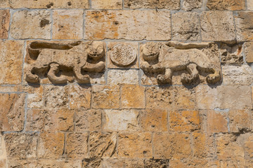 耶路撒冷老城的入口 狮门的救济