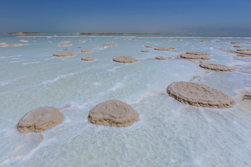结晶盐覆盖以色列死海的海滩
