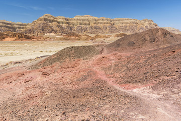 内盖夫沙漠的岩石景观