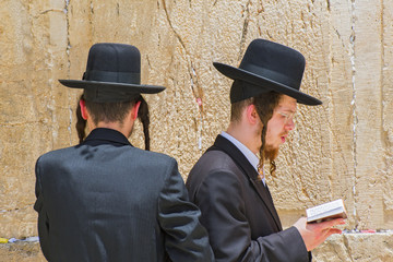 宗教正统的犹太人在西墙祈祷