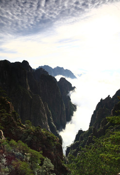 唯美风景