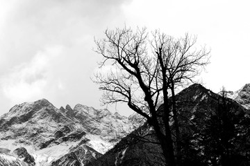 毕棚沟雪山