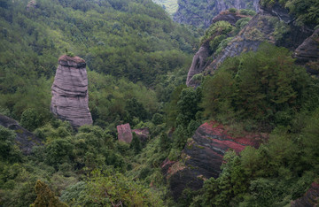 冠豸山大地之根