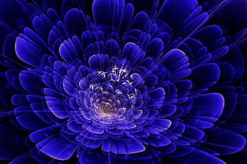 分形花裝飾畫