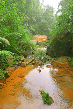 山溪水 山涧小溪 山谷溪流