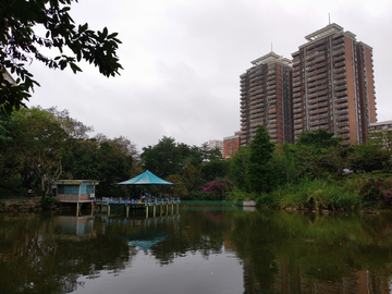 湖畔风景 湛江霞湖公园