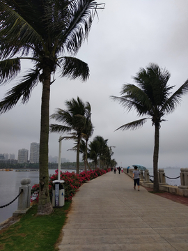 湖畔风景 湛江海滨公园