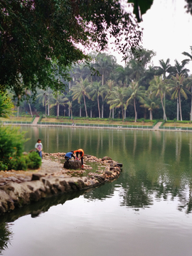 湖畔风景 湛江寸金桥公园