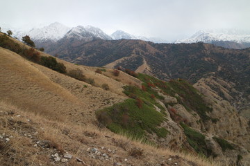 秋色山谷景色美