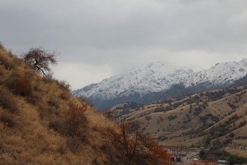 秋色 雪山