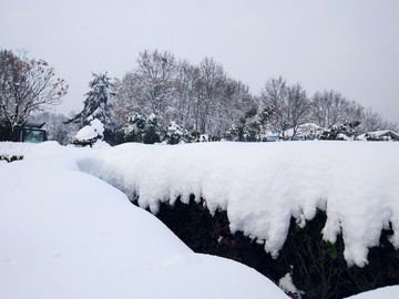 大雪