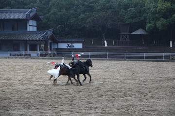 骑马打仗表演