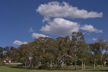 堪培拉街景