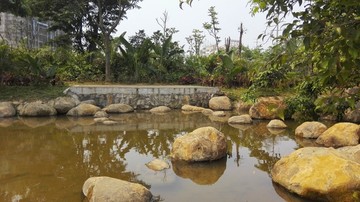 学校植物园