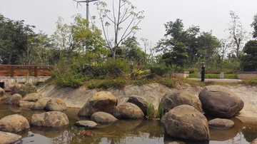 学校植物园