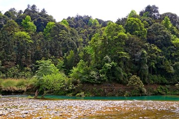 绿树 碧水 浅滩