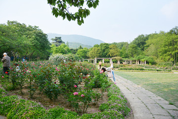 植物园