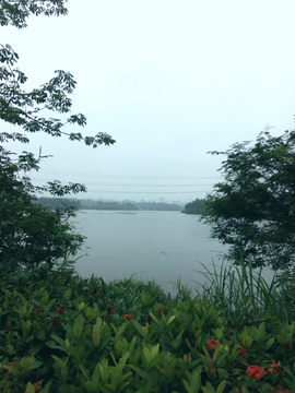 湖畔风景 湛江云瑞湖公园