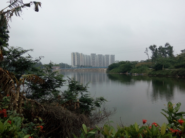 湖畔风景 湛江瑞云湖公园