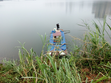 湖畔风景 湛江瑞云湖公园