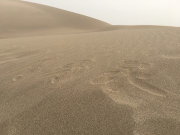 青海沙漠