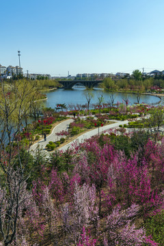 青州宋城风景春天南阳河景区