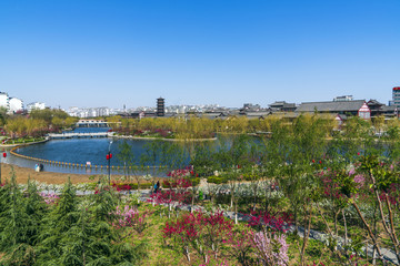 青州风景南阳河景区春天