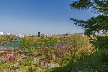 青州风景南阳河景区春天