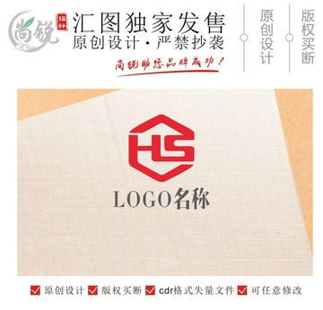 HS字母六边形logo