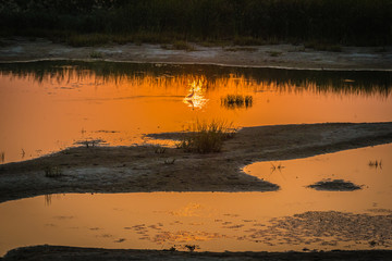 七星湿地夕阳水鸟