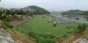 樟湖库区