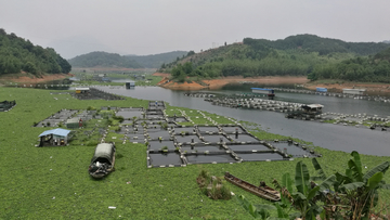 樟湖库区