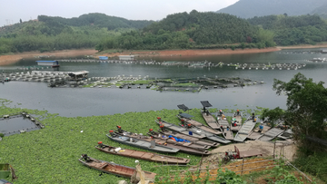 樟湖库区