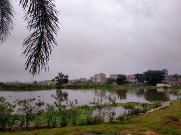 湖畔风景 玉林园博园