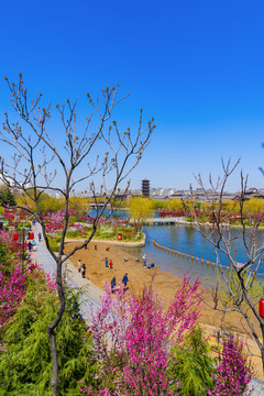 青州宋城风景春天南阳河景区