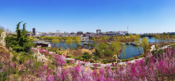 青州城市风景南阳河景区春天