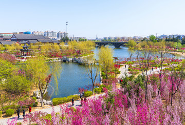 青州城市风景南阳河景区春天