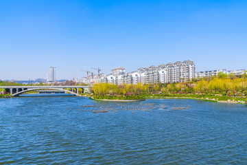 青州南阳河风景