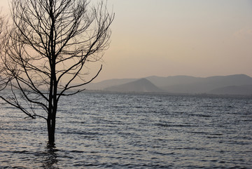 湖景