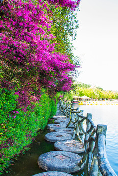 河边小路 风景